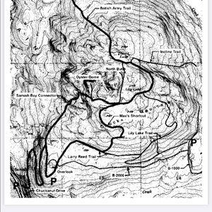 Meet your Posher, Lindsey